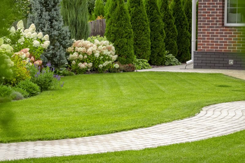 How Professional Landscaping Improves Curb Appeal
